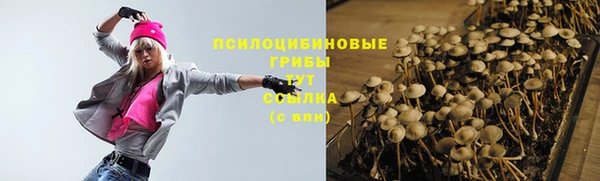 метадон Карпинск