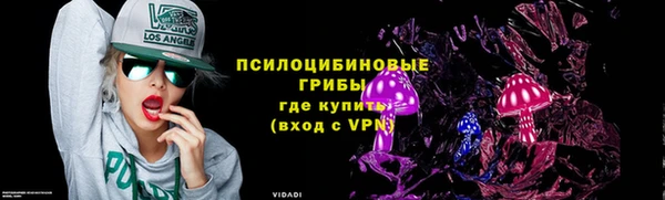 сатива Кинешма