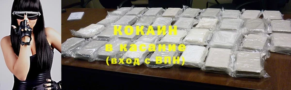 сатива Кинешма