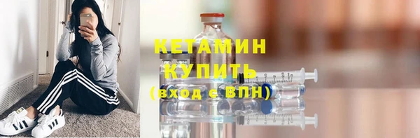 гашик Няндома