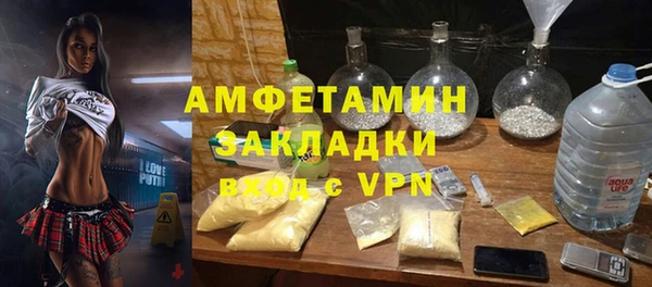 сатива Кинешма