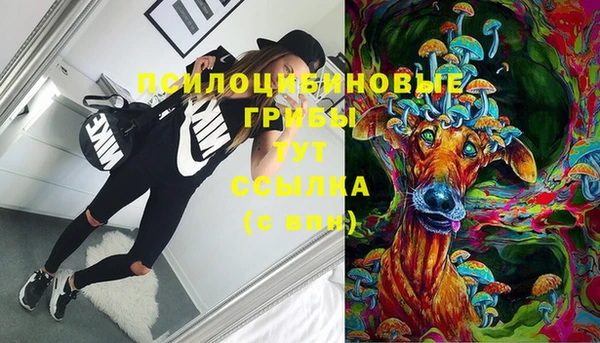 2c-b Надым