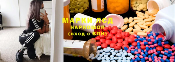 сатива Кинешма