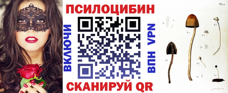 где продают наркотики Кимовск Псилоцибиновые грибы Psilocybe