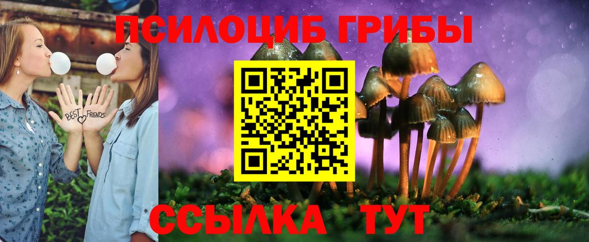 Кимовск  Псилоцибиновые грибы Cubensis  Вход с VPN 