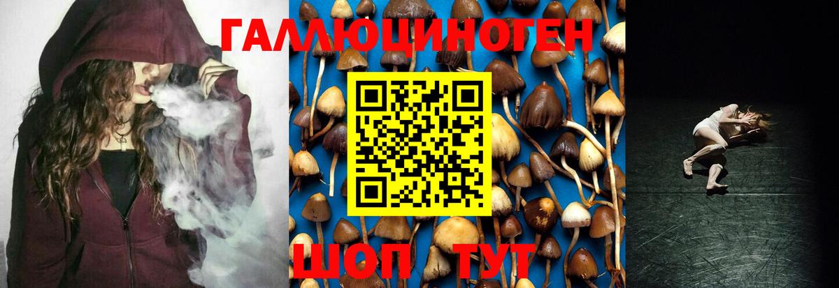 Галлюциногенные грибы Cubensis Кимовск